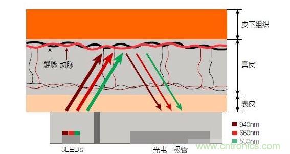 反射光脈搏測(cè)量原理。傳感器發(fā)出的光透過(guò)皮膚和組織，一部分被吸收，一部分被反射回檢測(cè)器。因?yàn)閯?dòng)脈中的血流量隨心臟的每次跳動(dòng)會(huì)有所變化，因此光線被吸收的量以及檢測(cè)器收到的信號(hào)強(qiáng)度也會(huì)隨之發(fā)生改變。綠光可以在手腕處提供最佳結(jié)果，而紅光和紅外光一般用于手指測(cè)量。 8