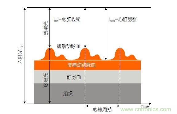 PPG測(cè)量中檢測(cè)器信號(hào)的產(chǎn)生。照射皮膚的光線(I0)被靜脈血或動(dòng)脈血吸收，或反射回檢測(cè)器。信號(hào)的變化分量對(duì)應(yīng)著與心跳同步變化的動(dòng)脈血流量。這個(gè)信號(hào)的變化周期指示了脈率。最小和最大檢測(cè)器信號(hào)的比值(光電流Imin/Imax)為判斷血氧飽和度提供了依據(jù)。