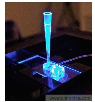 加州柏克萊大學(xué)所開發(fā)的“心臟單芯片”用以放置從成人干細(xì)胞產(chǎn)出的人類心臟組織，該系統(tǒng)有一天可望替代實(shí)驗(yàn)動(dòng)物應(yīng)用于藥物安全篩檢