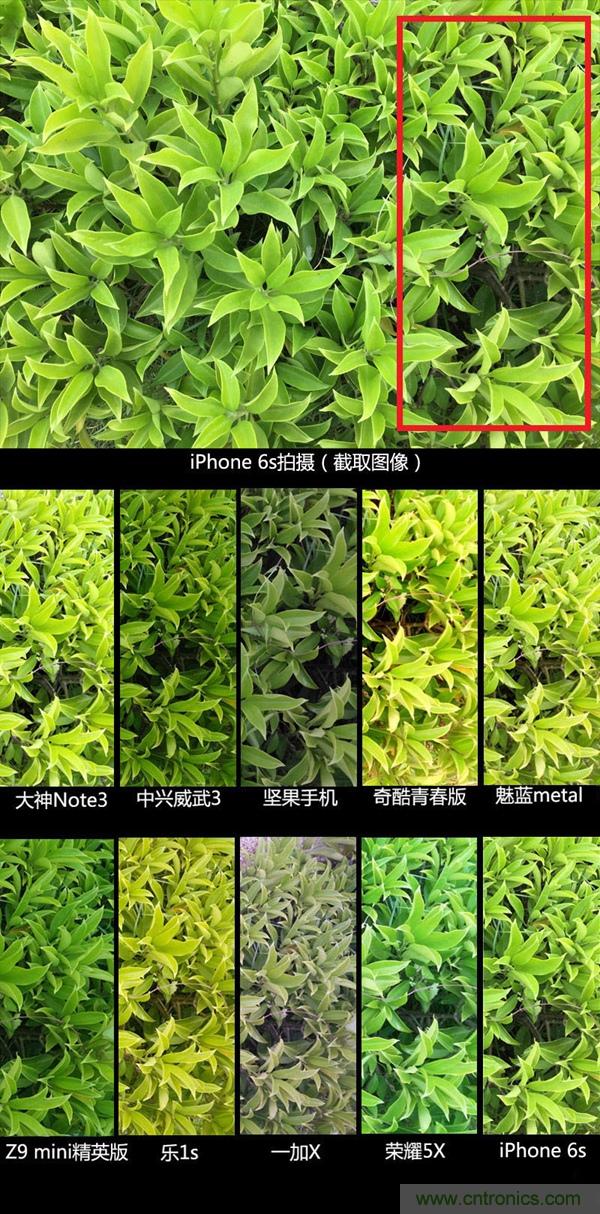2015年9款千元智能手機(jī)橫評(píng)：誰(shuí)才是紅海霸主？