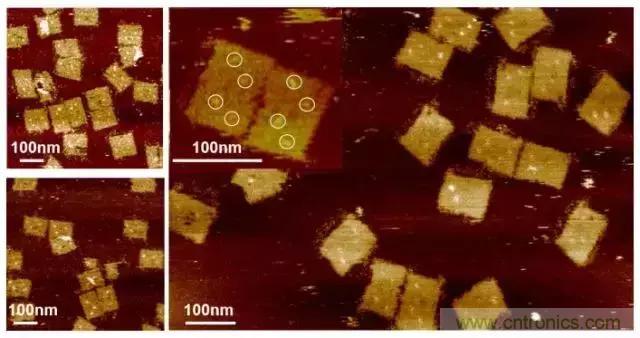 中美科學家聯(lián)手，用DNA納米機器人殺死癌細胞