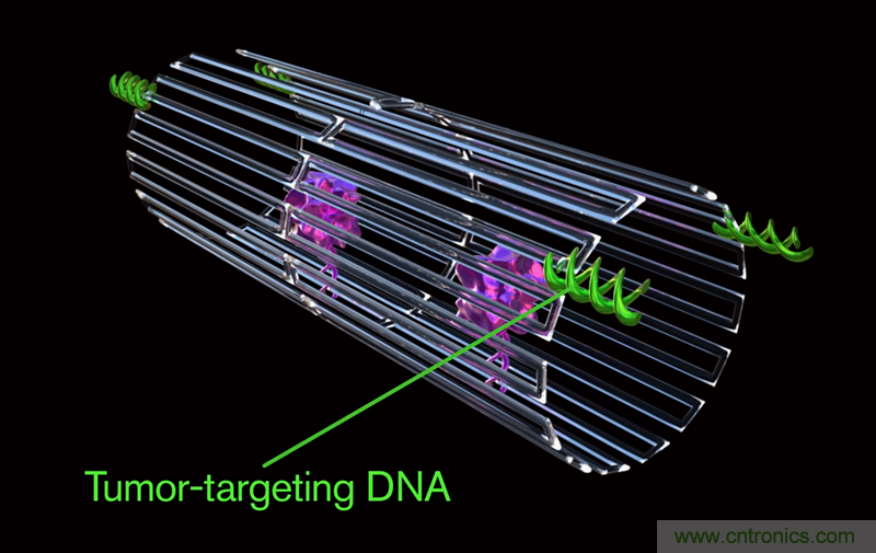 中美科學家聯(lián)手，用DNA納米機器人殺死癌細胞