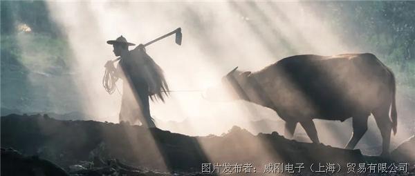 智慧農(nóng)業(yè)大有可為，“數(shù)字種地”更輕松