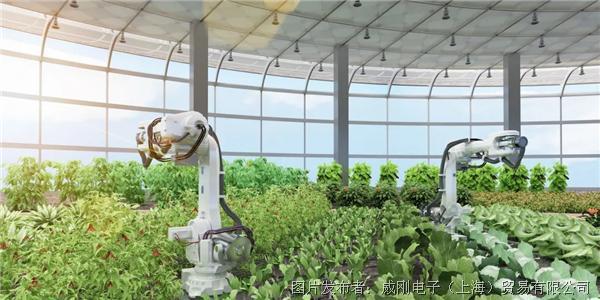 智慧農(nóng)業(yè)大有可為，“數(shù)字種地”更輕松